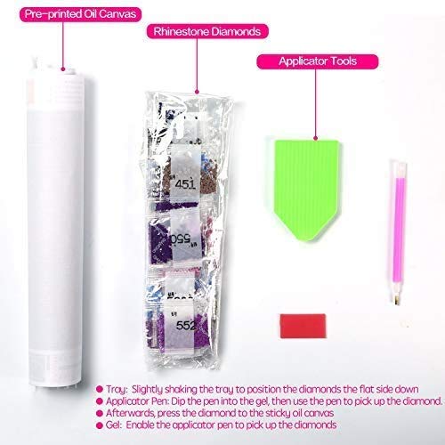 5D DIY Pintura diamante por número Kit para adulto, 12 x 16 inches/30 x 40cm. Tema de Aurora