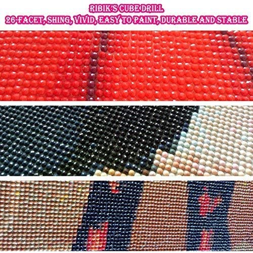 5D DIY Pintura diamante por número Kit para adulto, 12 x 16 inches/30 x 40cm. Tema de Aurora